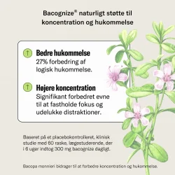 Nutrinic FOKUS