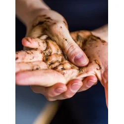 Grums Raw Coffee Hand Scrub + Wash 120 ml.